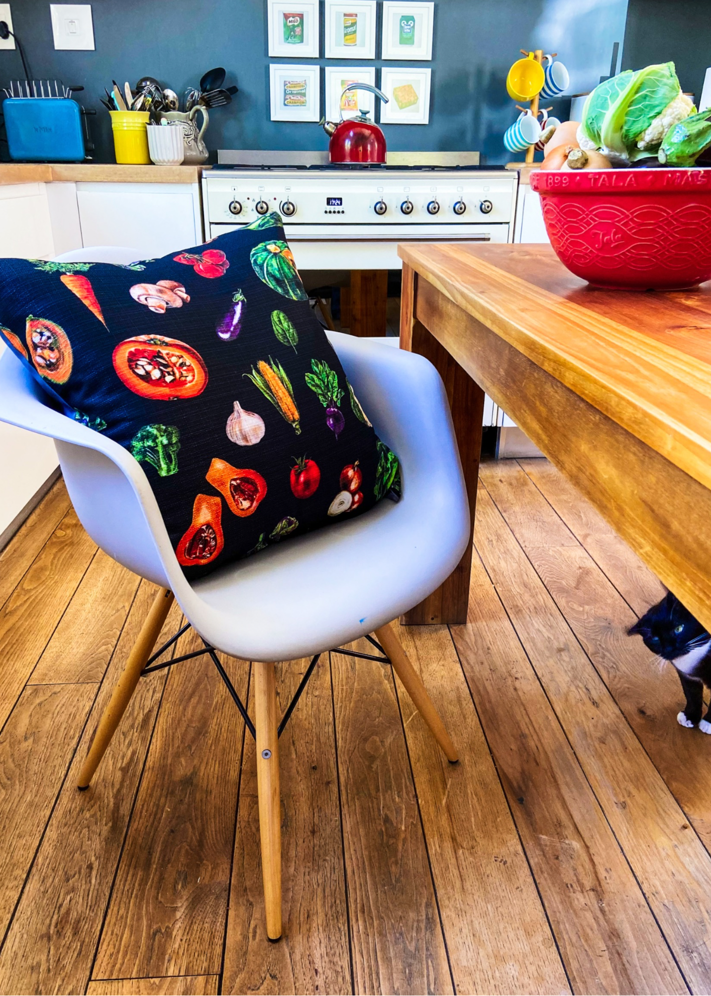 Scatter Cushions The Veggies Kaatjie Produkte SA