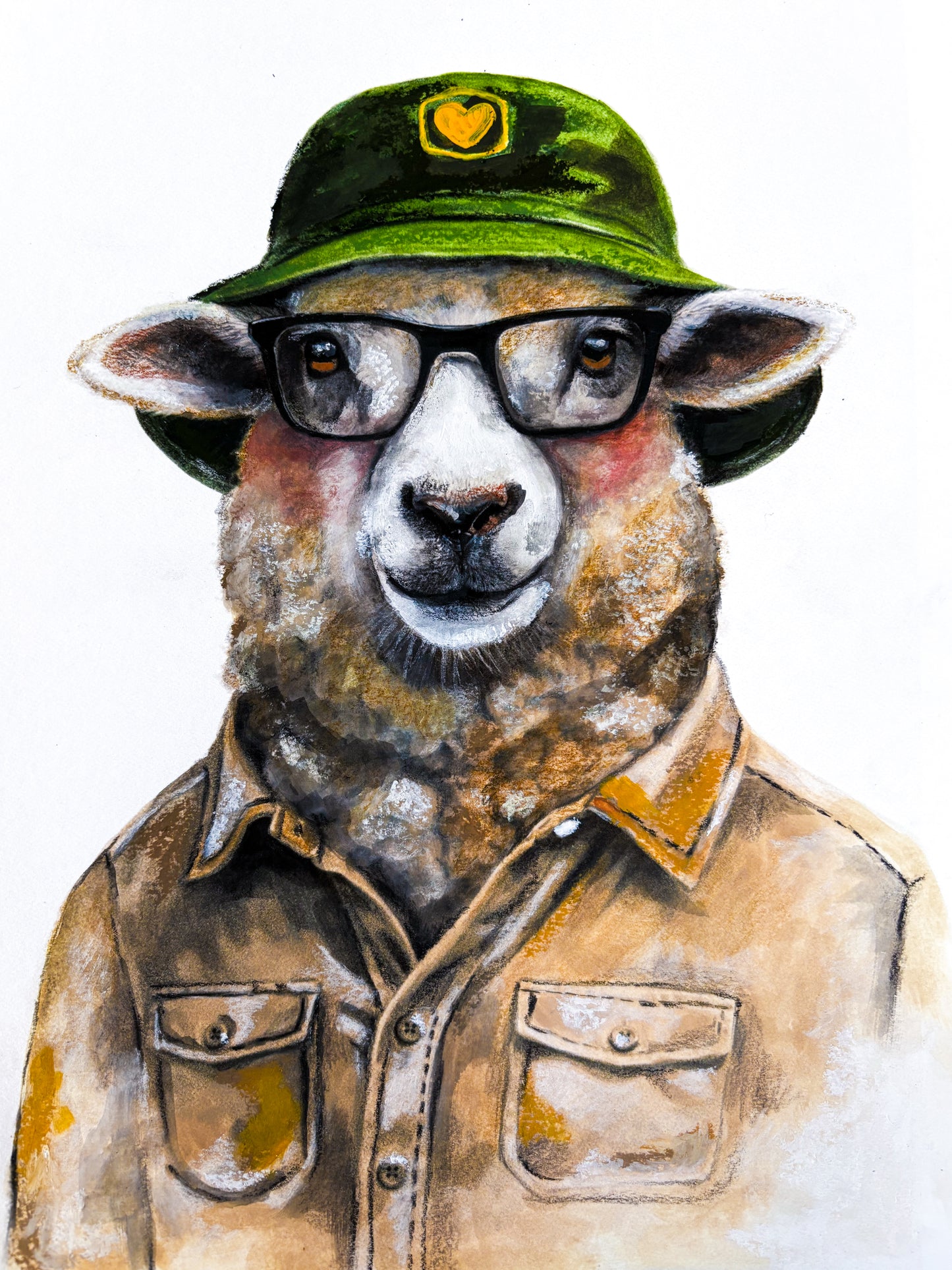 The Curious Zoo: Illustrations