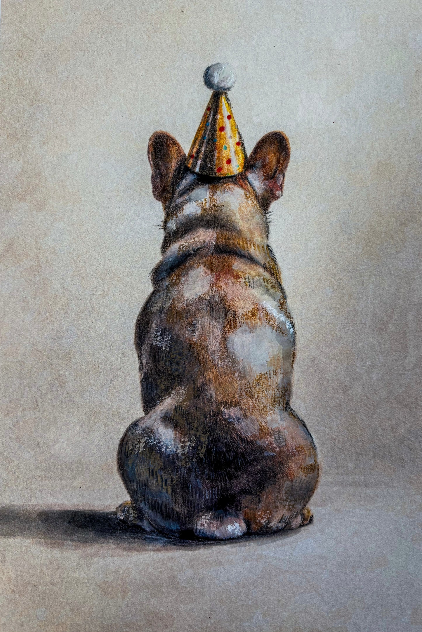 Zak & Friends: Illustrations