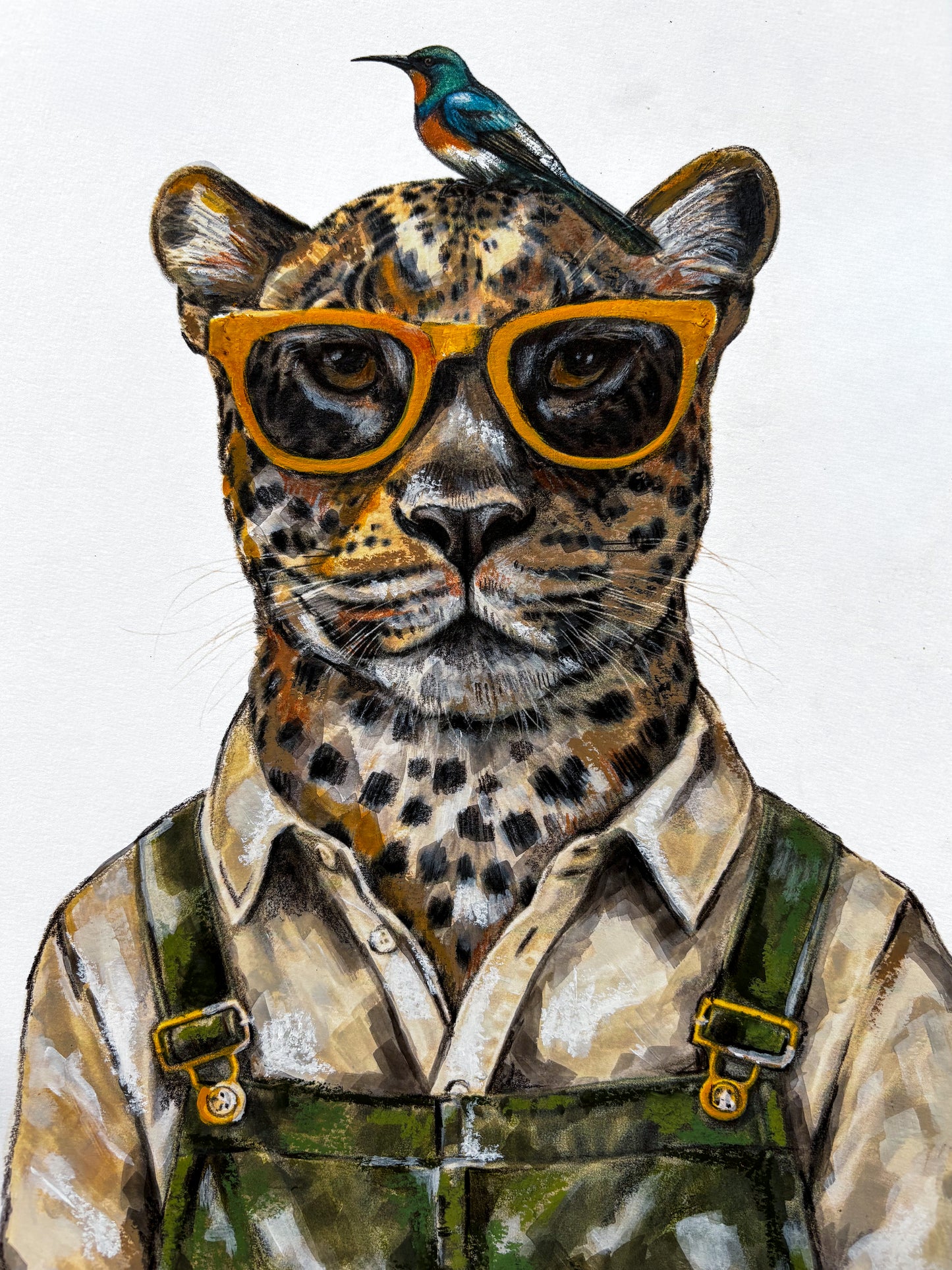 The Curious Zoo: Illustrations