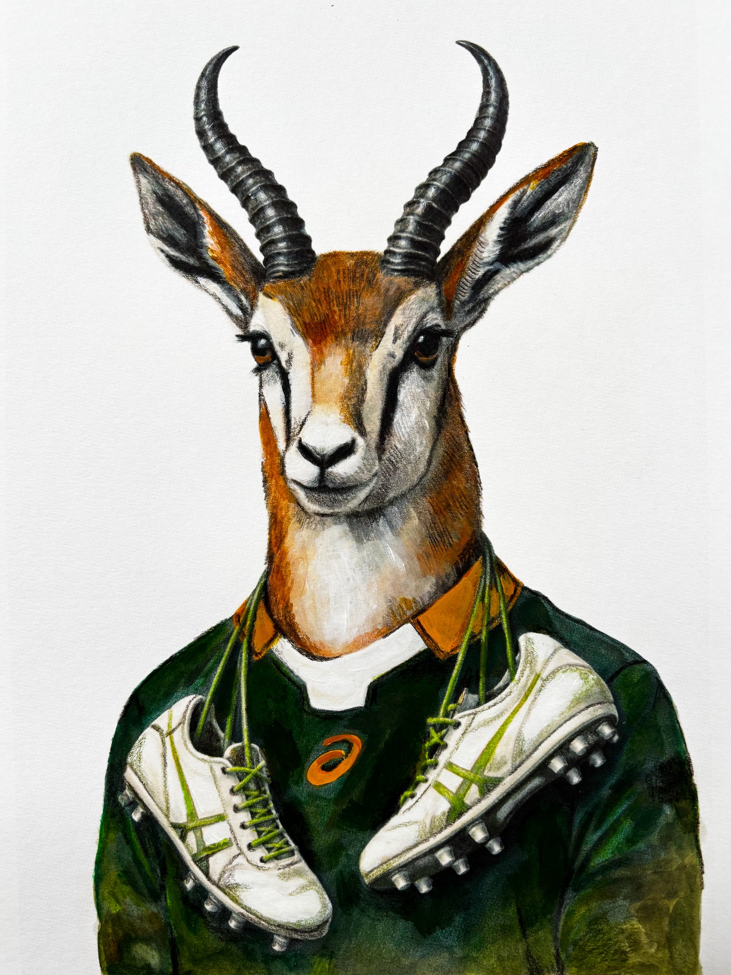 The Curious Zoo: Illustrations