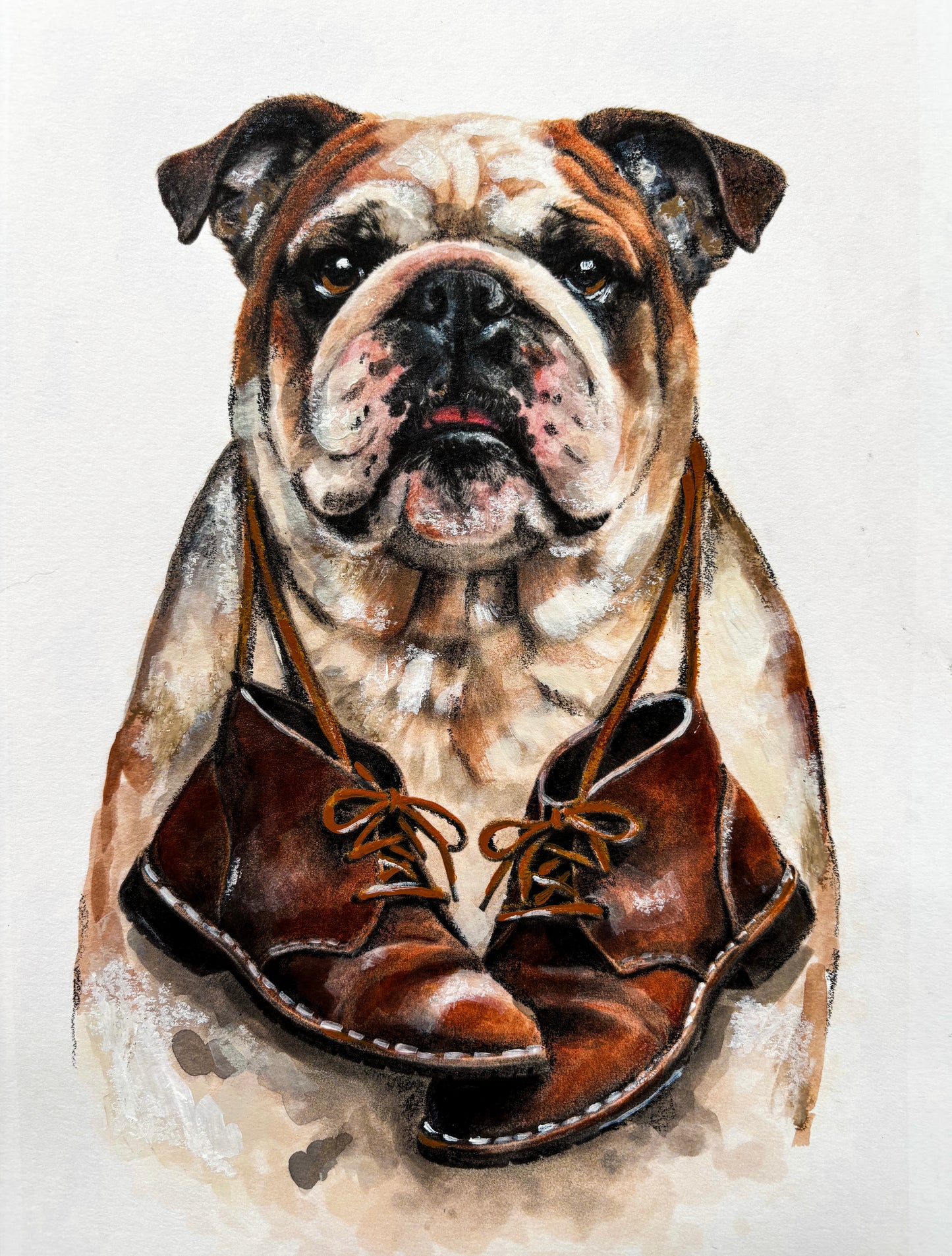 The Curious Zoo: Illustrations