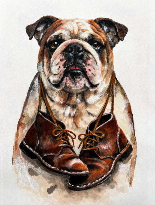 The Curious Zoo: Illustrations