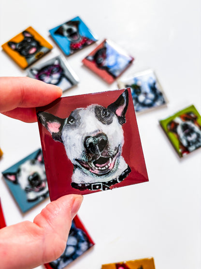 Tiny Art Magnets: Furkids